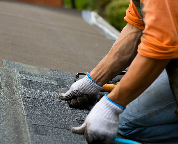 Best Roof Gutter Cleaning  in Woodfield, SC